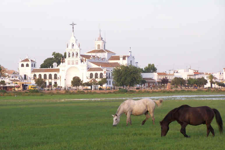 Aires de Doñana